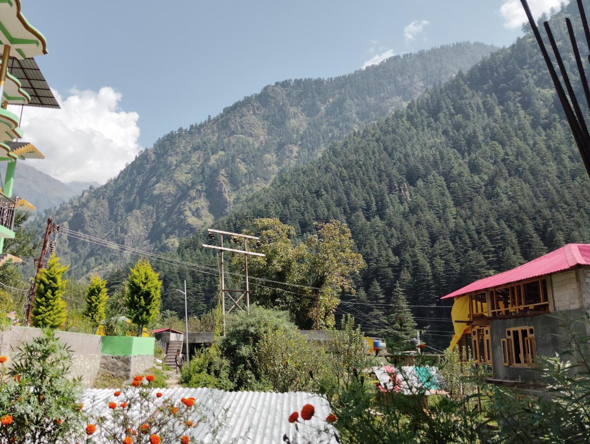 Hotel Dog N Hill Kasol Exteriér fotografie