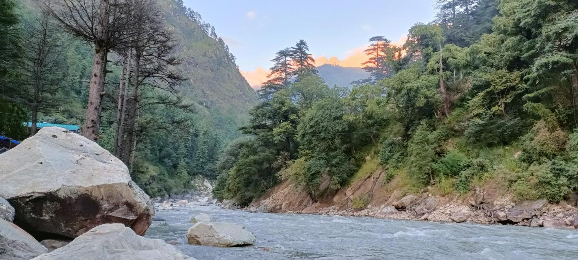Hotel Dog N Hill Kasol Exteriér fotografie