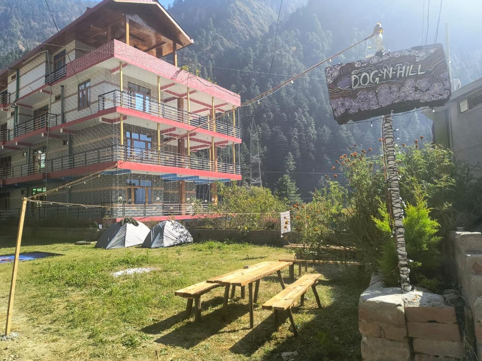 Hotel Dog N Hill Kasol Exteriér fotografie